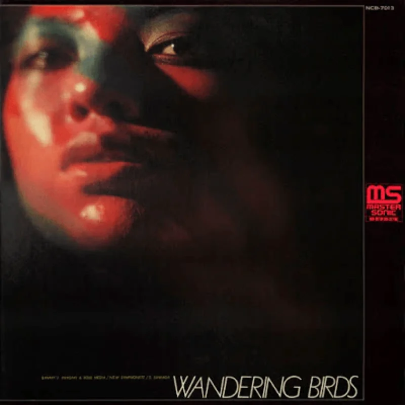 Jiro Inagaki & Soul Media - Wandering Birds Vinyl LP