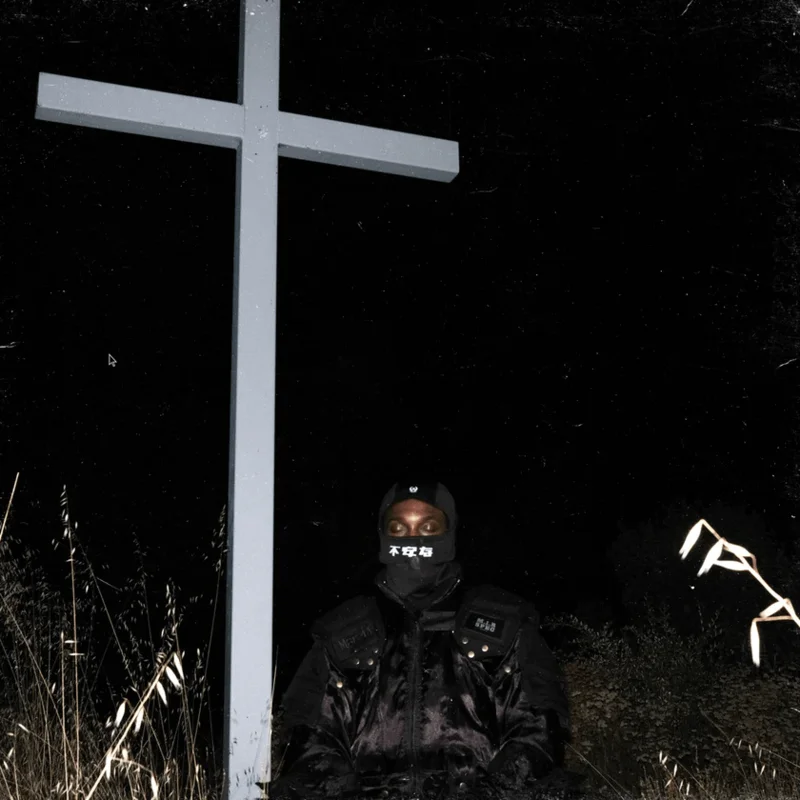 JPEGMafia - I Lay Down My Life For You (UK Import) Vinyl LP