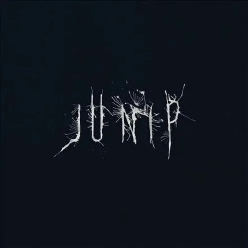Junip - Junip - Vinyl Record