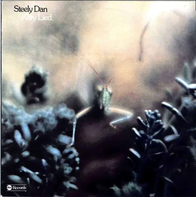 Katy Lied