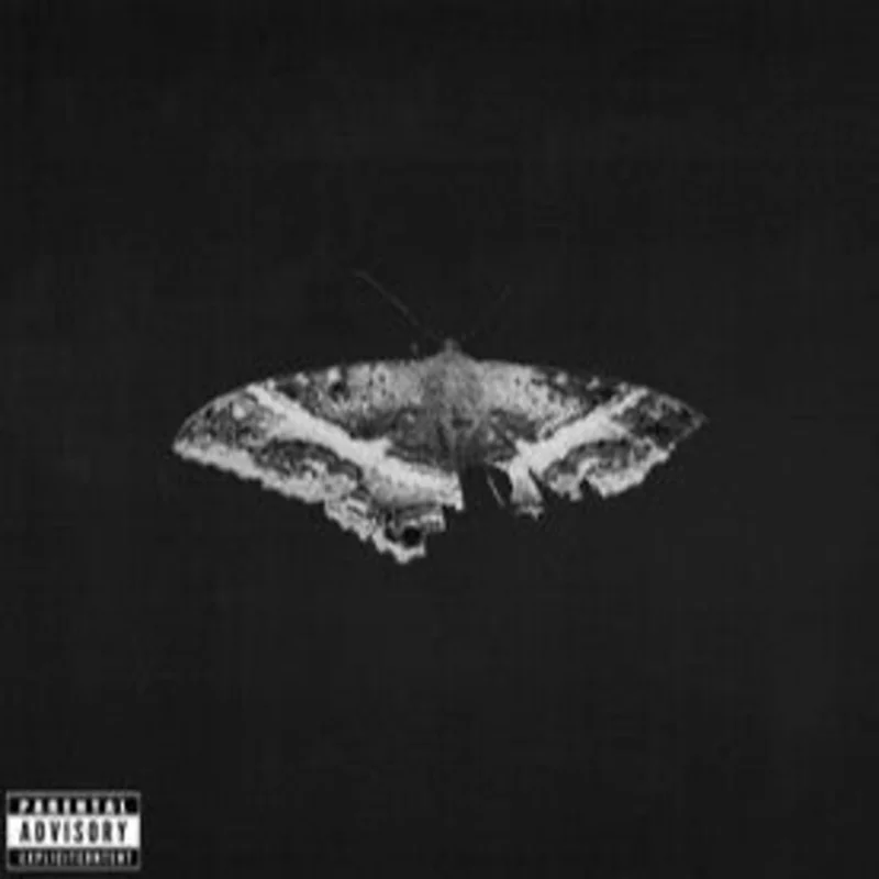 Kendrick Lamar - To Pimp a Butterfly (10 Year Anniversary Edition) (Limited Edition Color) Vinyl LP