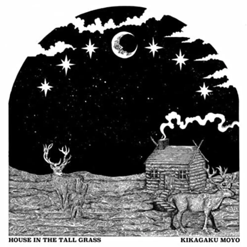 Kikagaku Moyo - House In the Tall Grass Vinyl LP