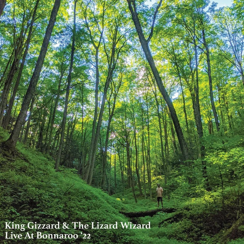 King Gizzard & The Lizard Wizard / Live At Bonnaroo '22 (Orange Buzzsaw Shaped) Vinyl LP