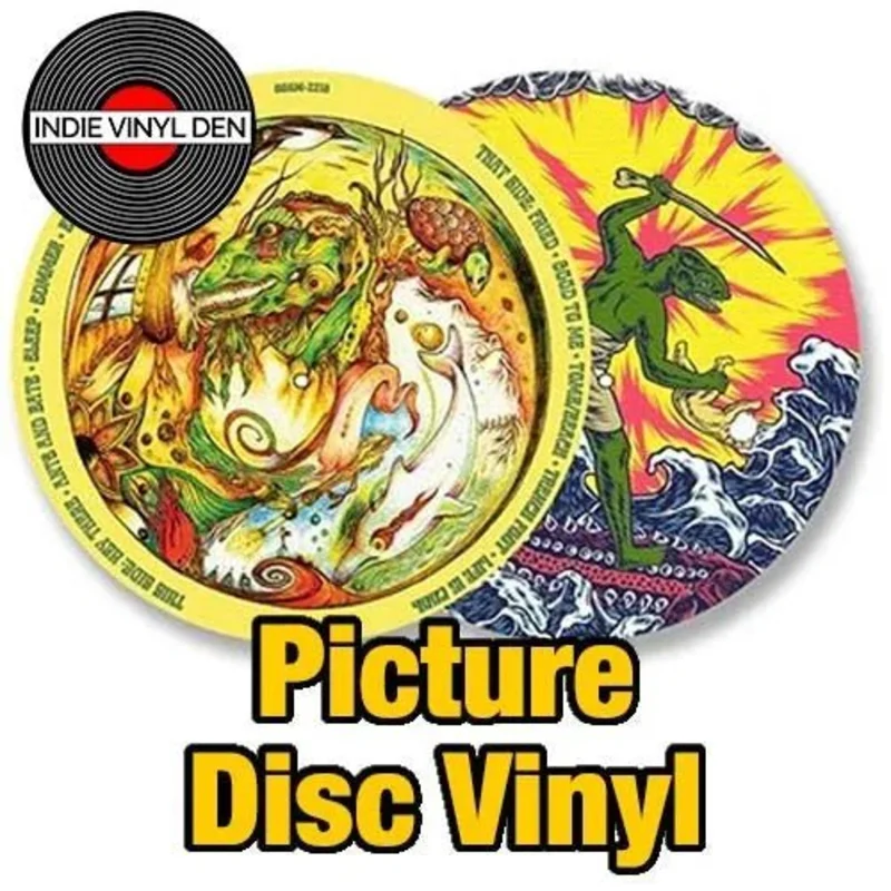 King Gizzard & The Lizard Wizard - Teenage Lizard - Picture Disc Vinyl Record