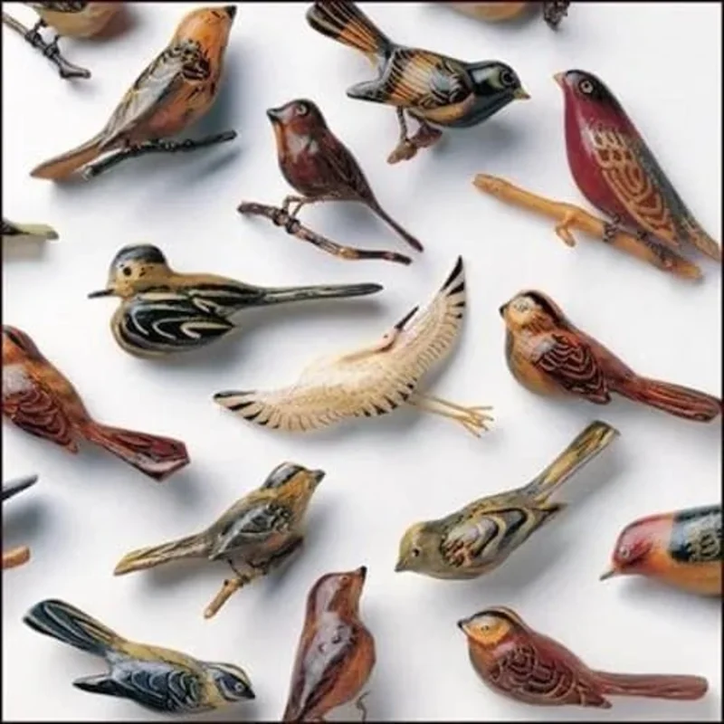 Kishi Bashi - Omoiyari - Vinyl Record