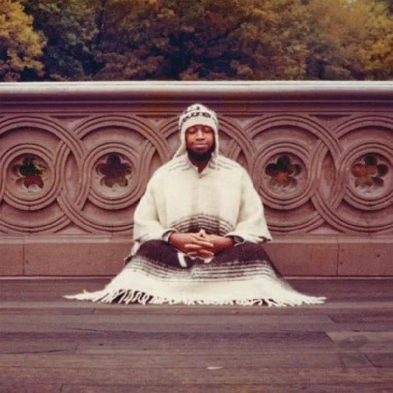 Laraaji - Seque to Infinity (Black Color) Vinyl LP & Book