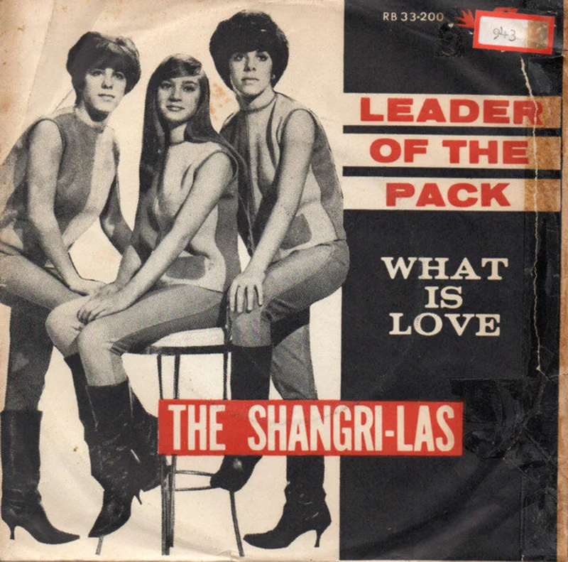 Leader Of The Pack / What Is Love