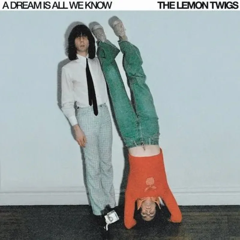 Lemon Twigs - A Dream Is All We Know - Vinyl Record