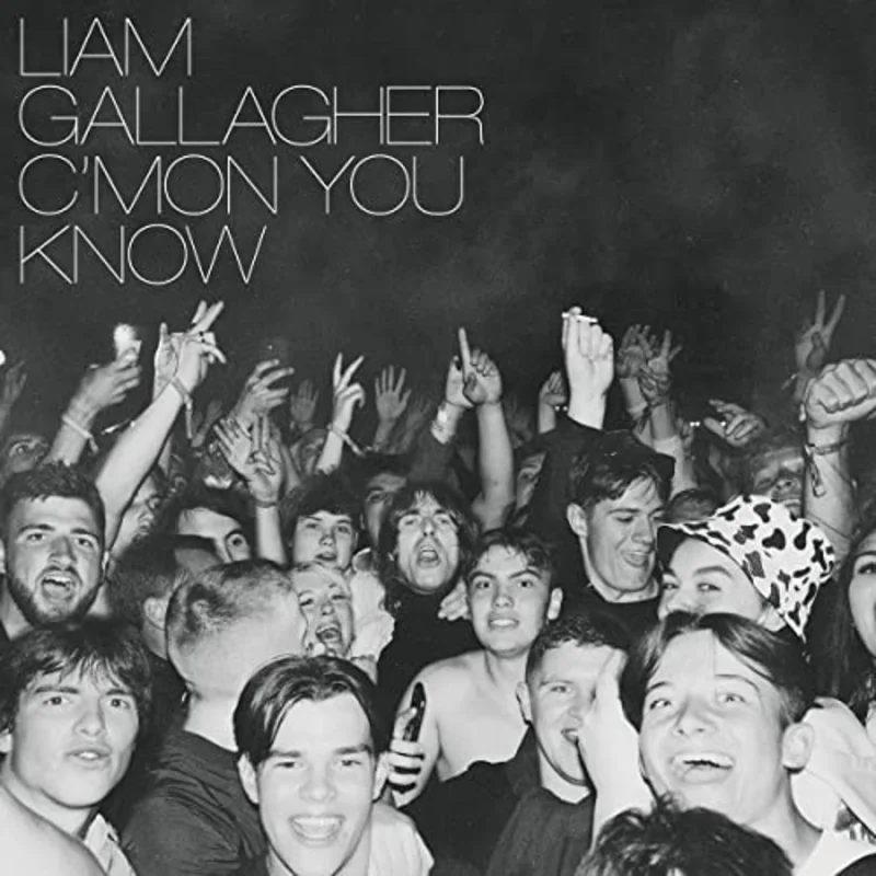Liam Gallagher CMON YOU KNOW