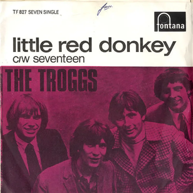 Little Red Donkey
