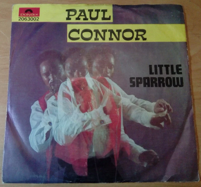 Little Sparrow / I Don't Love You Anymore