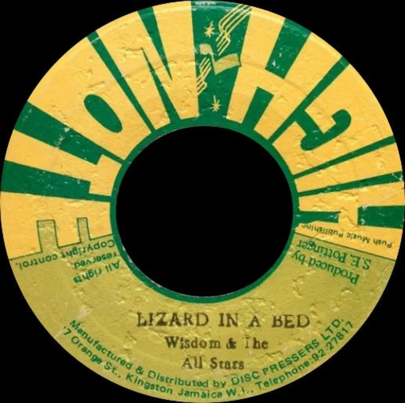 Lizard In A Bed