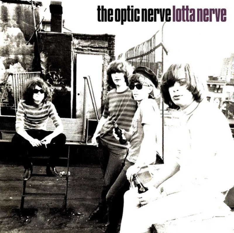 Lotta Nerve