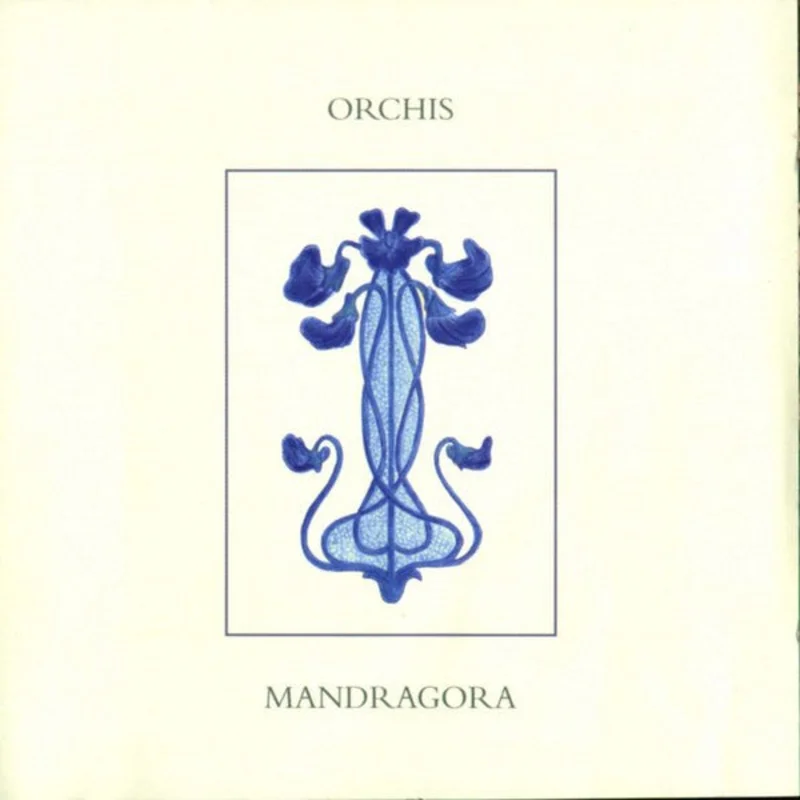 Mandragora