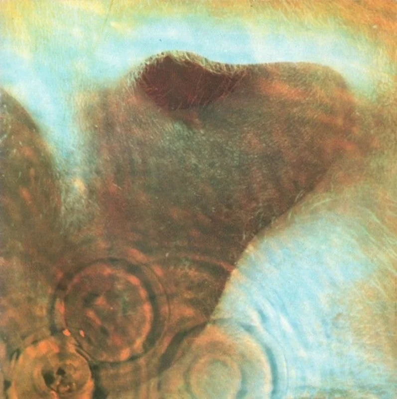 Meddle