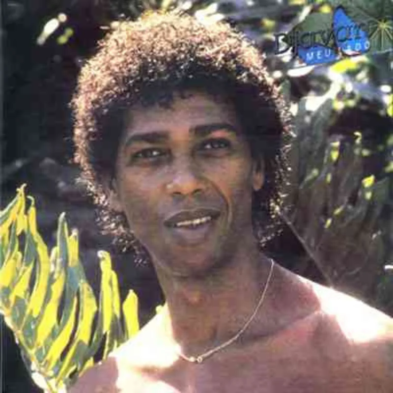 Meu Lado