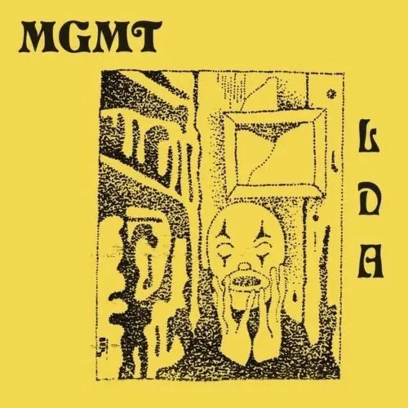 MGMT - Little Dark Age - Vinyl Record 2LP 180g *