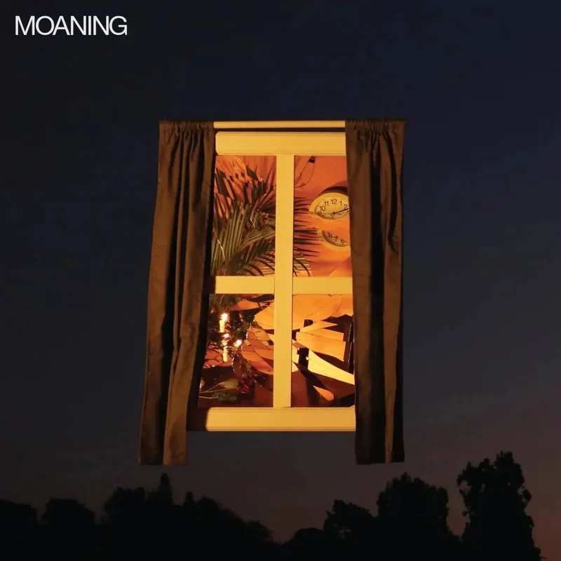 Moaning - Moaning - Vinyl Record