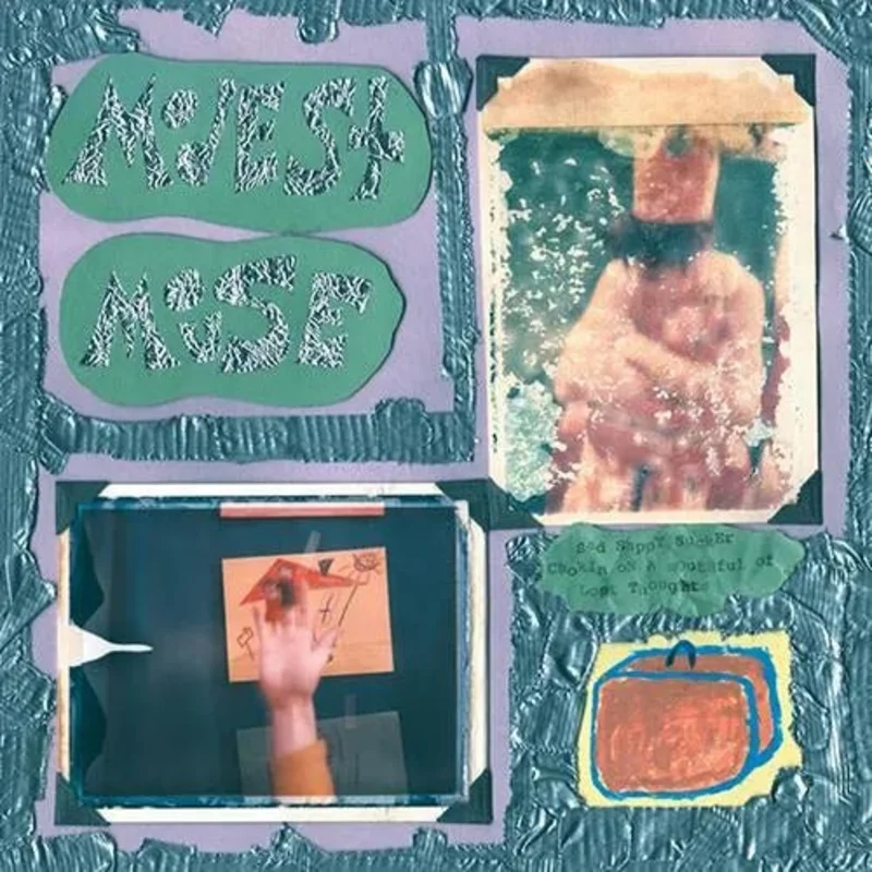 Modest Mouse - Sad Sappy Sucker Vinyl Record