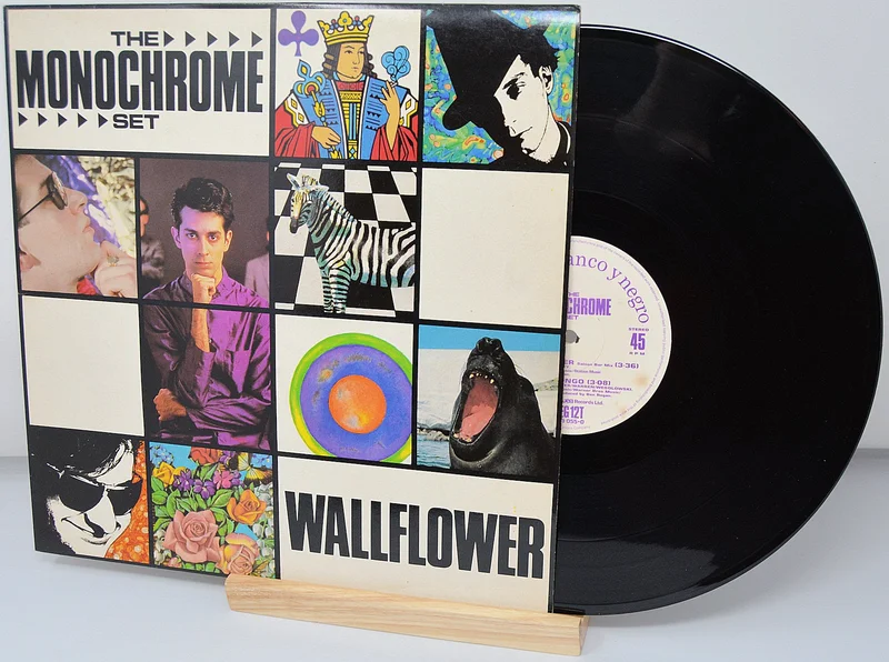Monochrome Set  Wallflower