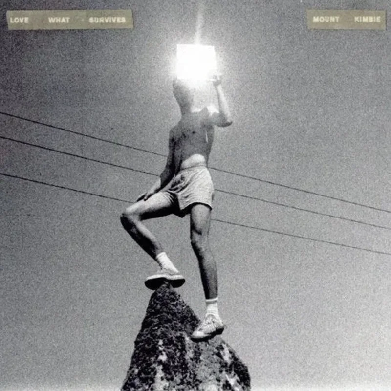 Mount Kimbie - Love What Survives - Vinyl Record