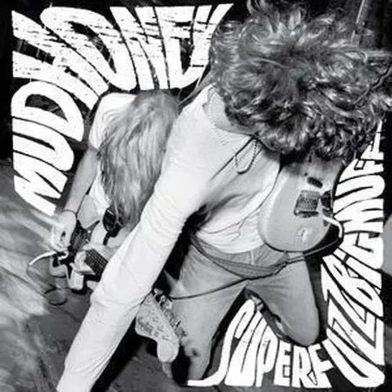 Mudhoney Superfuzz Bigmuff Vinyl Record