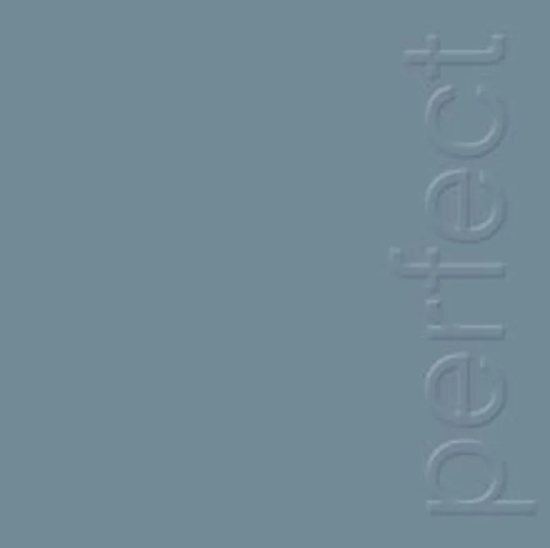 New Order - Perfect Kiss (2022 Remaster) Vinyl 12"
