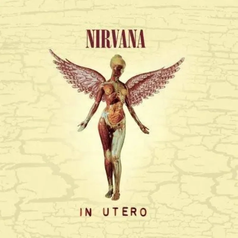 Nirvana - In Utero - Vinyl Record Import 180g