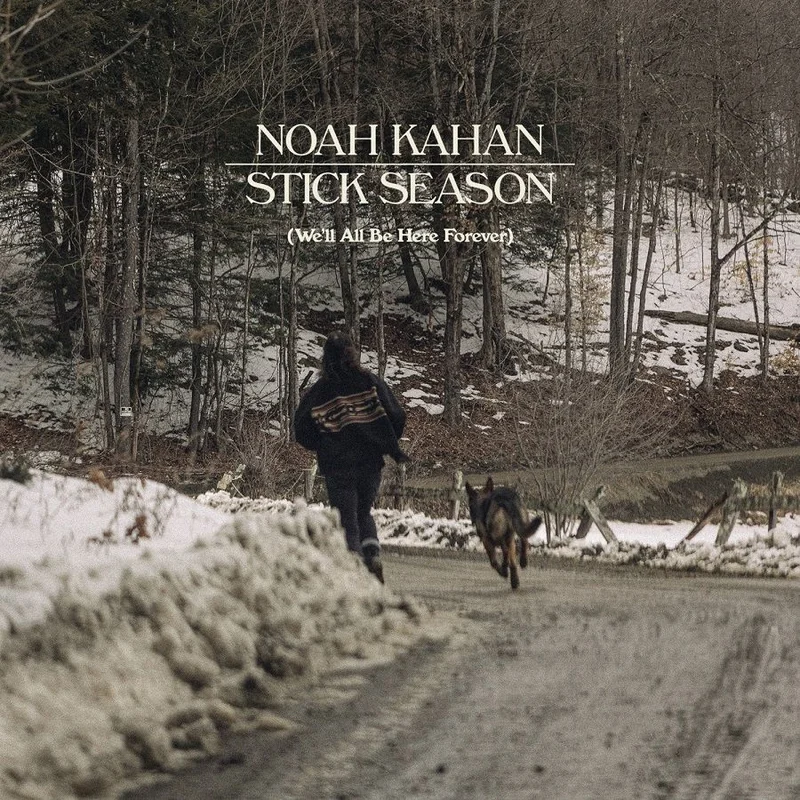 Noah Kahan - Stick Season (We'll All Be Here Forever)(Black Ice Color) Vinyl LP