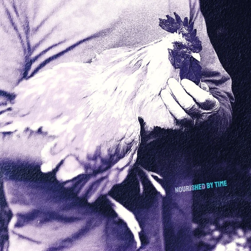 Nourished by Time - Catching Chickens Vinyl EP