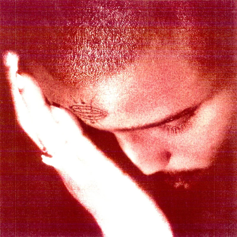 Nourished by Time - The Passionate Ones Vinyl LP
