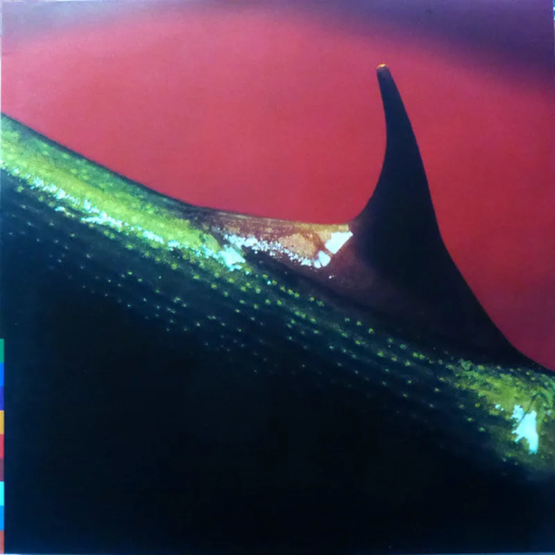 Nusrat Fateh Ali Khan and Michael Brook - Night Song (Quick Ship)
