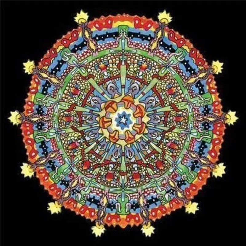 of Montreal - Hissing Fauna, Are You the Destroyer? [2xLP 180-Gram Red/Yellow Color Vinyl]