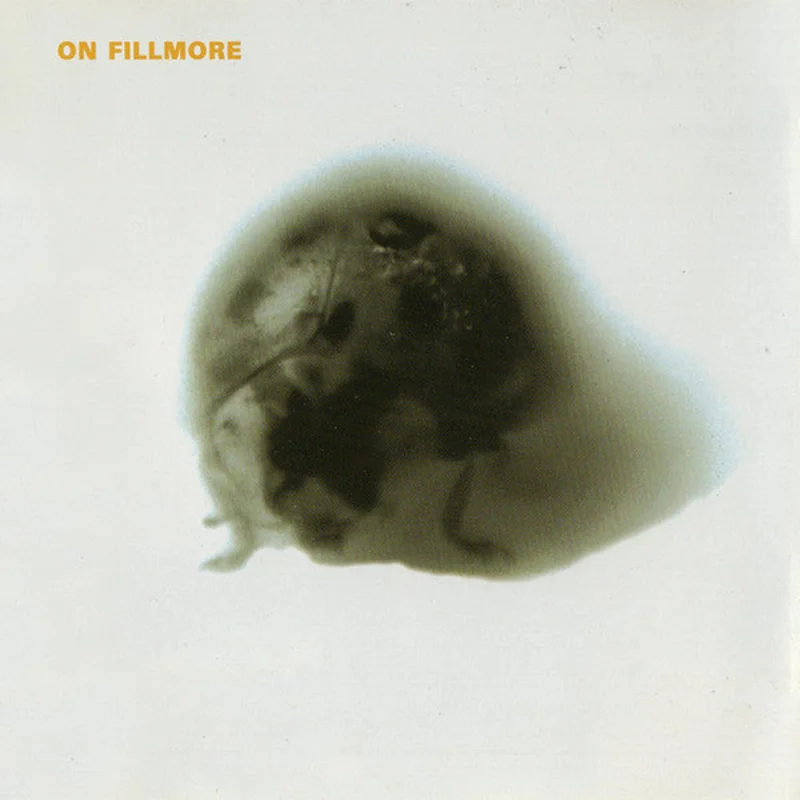 On Fillmore