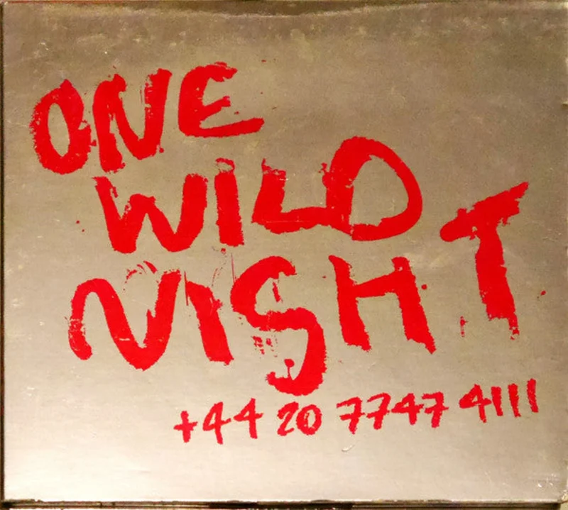 One Wild Night