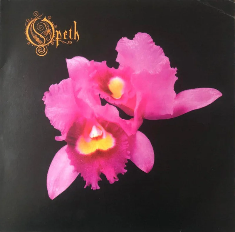 Orchid