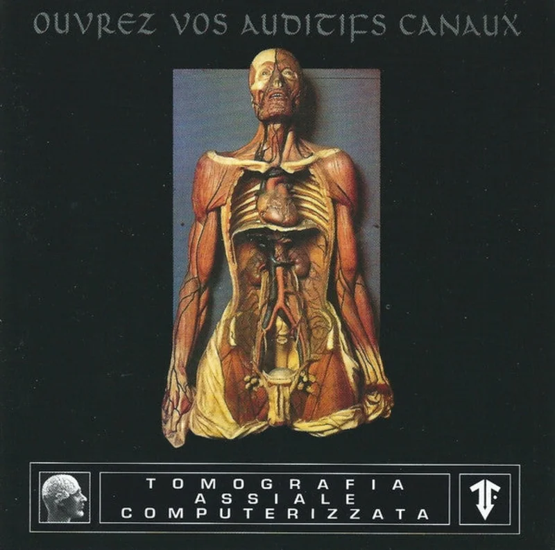 Ouvrez Vos Auditifs Canaux