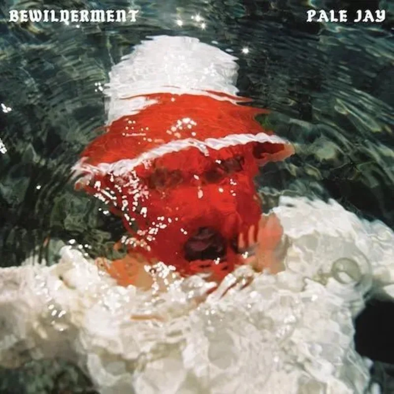 Pale Jay - Bewilderment - Seafoam Green Color Vinyl Record