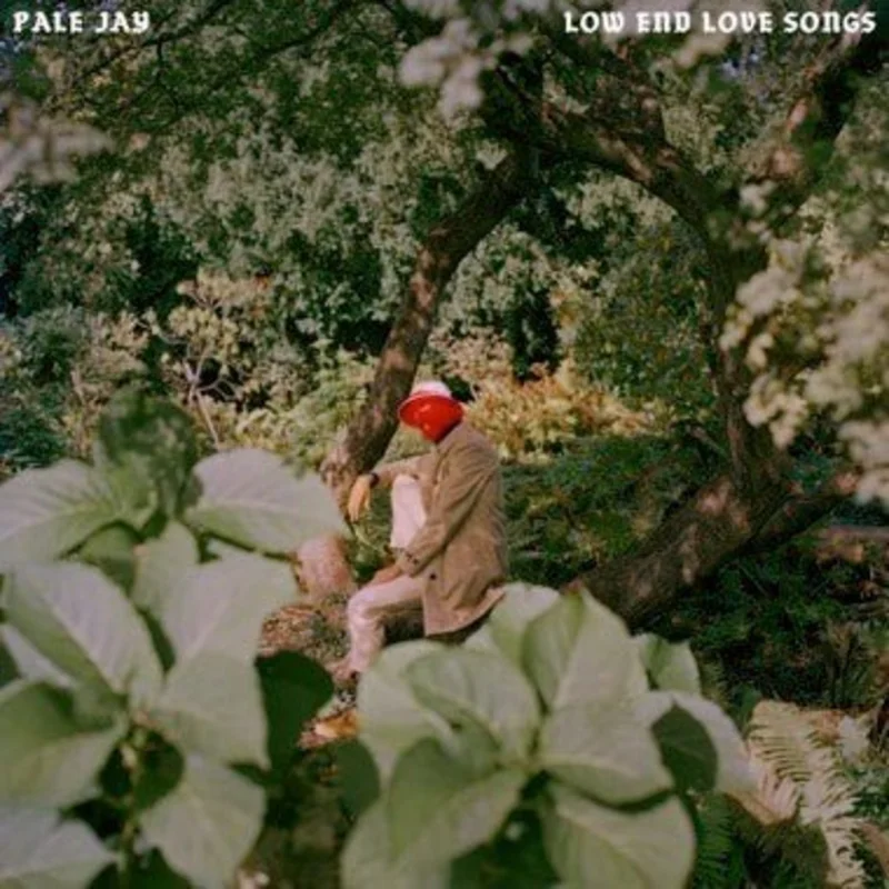 Pale Jay - Low End Love Songs (Storm Cloud Grey Color) Vinyl LP