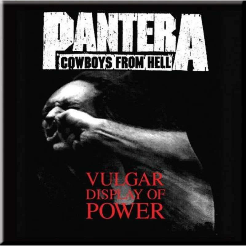 Pantera - Vulgar Display Magnet