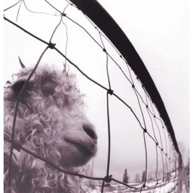 Pearl Jam - VS. - 30th Anniversary Clear Color Vinyl Record
