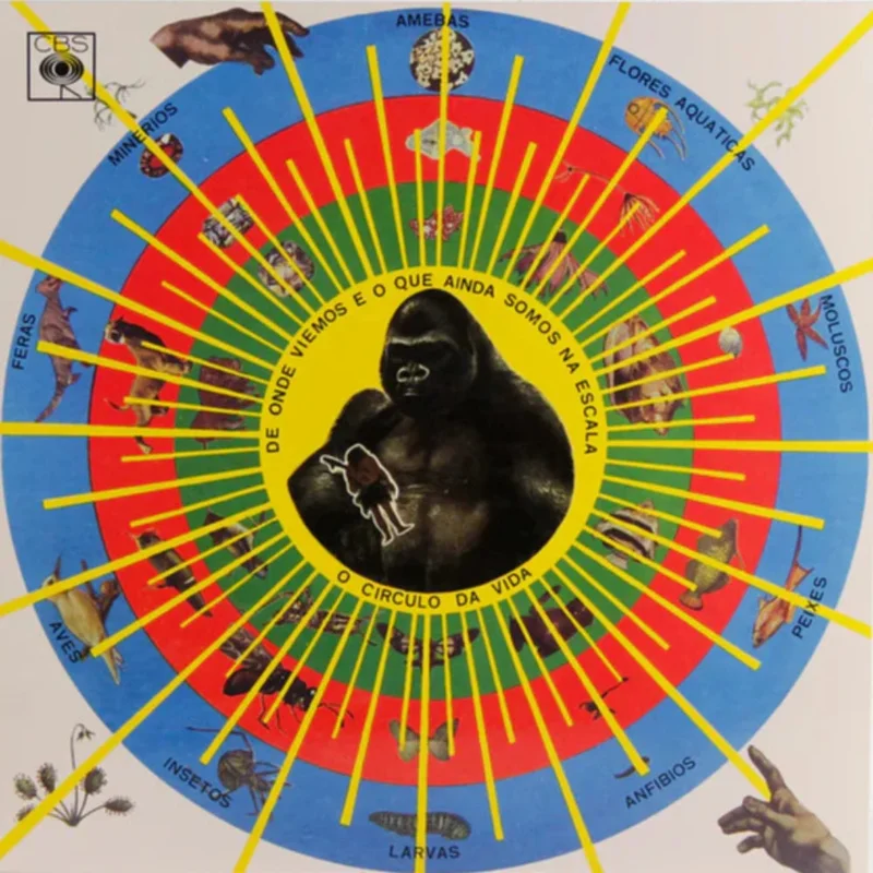Pedro Santos - Krishnanda (Mr Bongo) (Arrives in 30 days)
