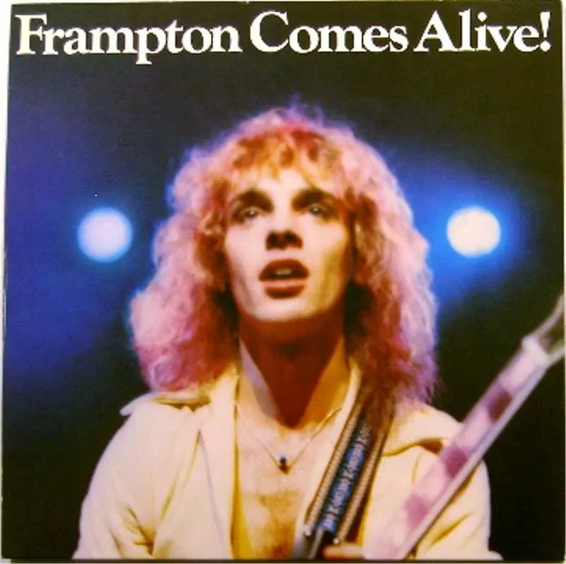 Peter Frampton - Frampton Comes Alive - Vinyl Record 2LP Import