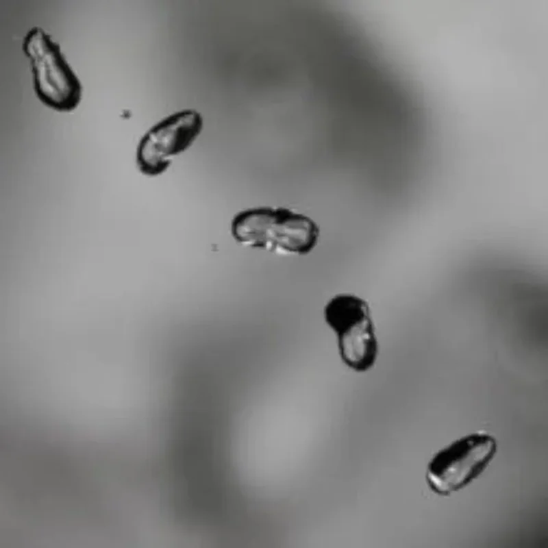 Peter Gabriel - Up - Vinyl Record Import