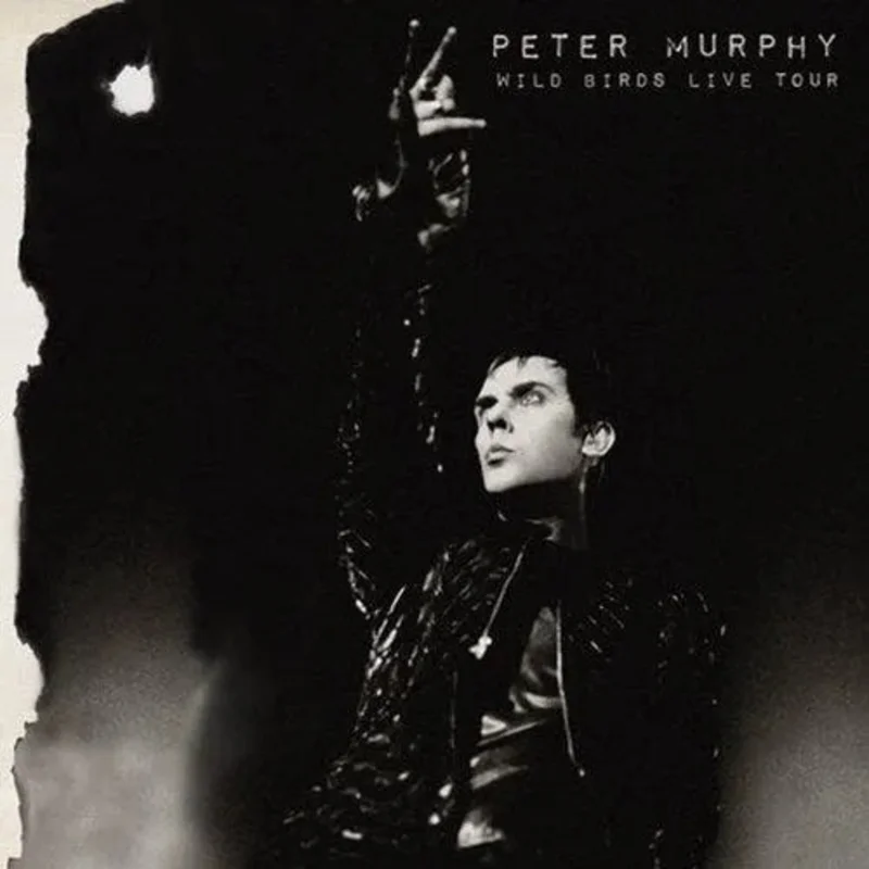Peter Murphy - Wild Birds Live Tour - Purple & Black Color Vinyl Record 2LP
