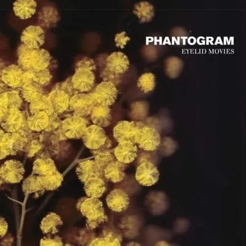Phantogram - Eyelid Movies Vinyl Record