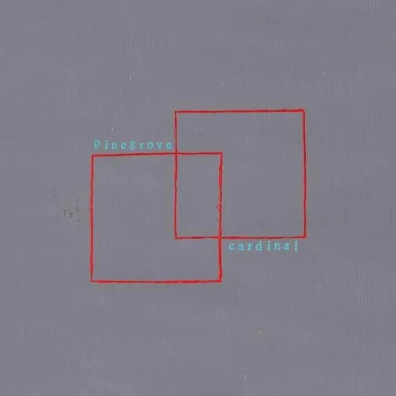Pinegrove - Cardinal Vinyl Record