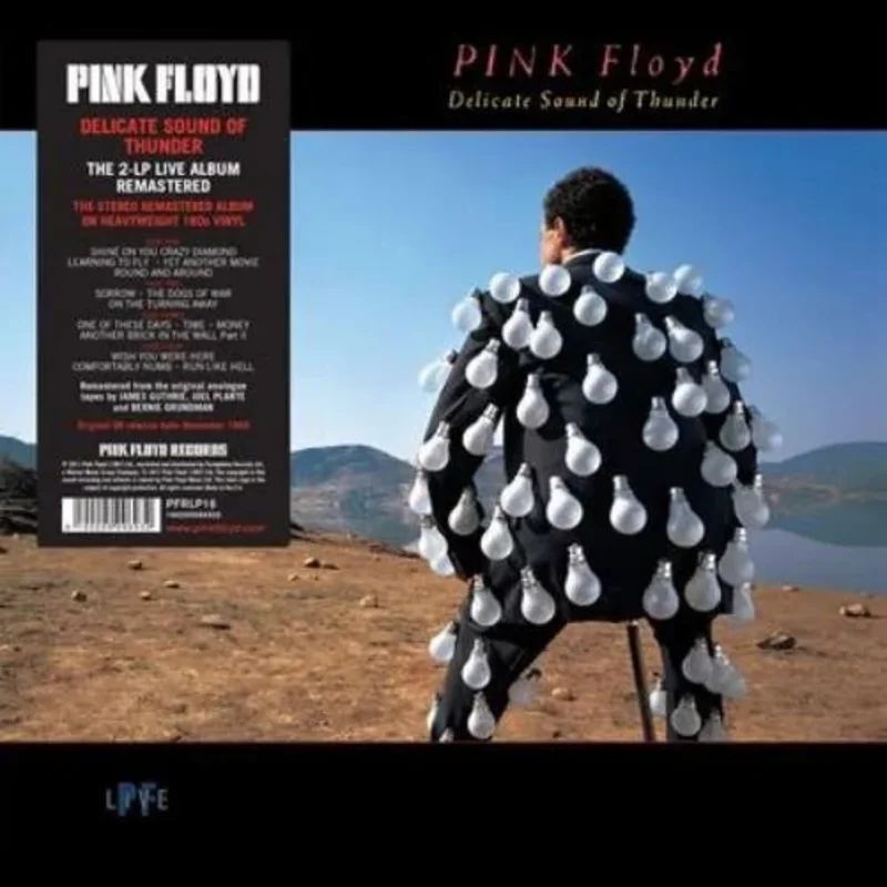 Pink Floyd - Delicate Sound of Thunder - Vinyl Record 2LP