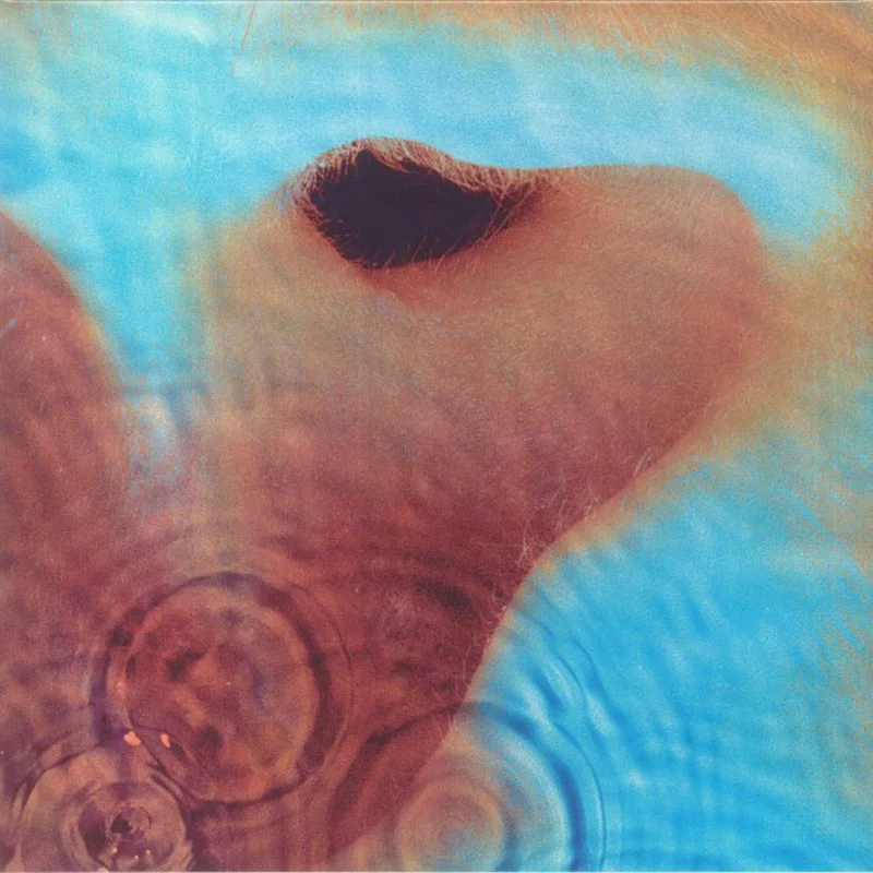 Pink Floyd - Meddle (Arrives in 21 days)