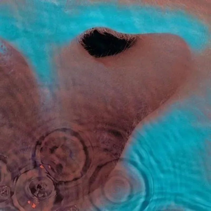 Pink Floyd - Meddle - Vinyl Record 180g